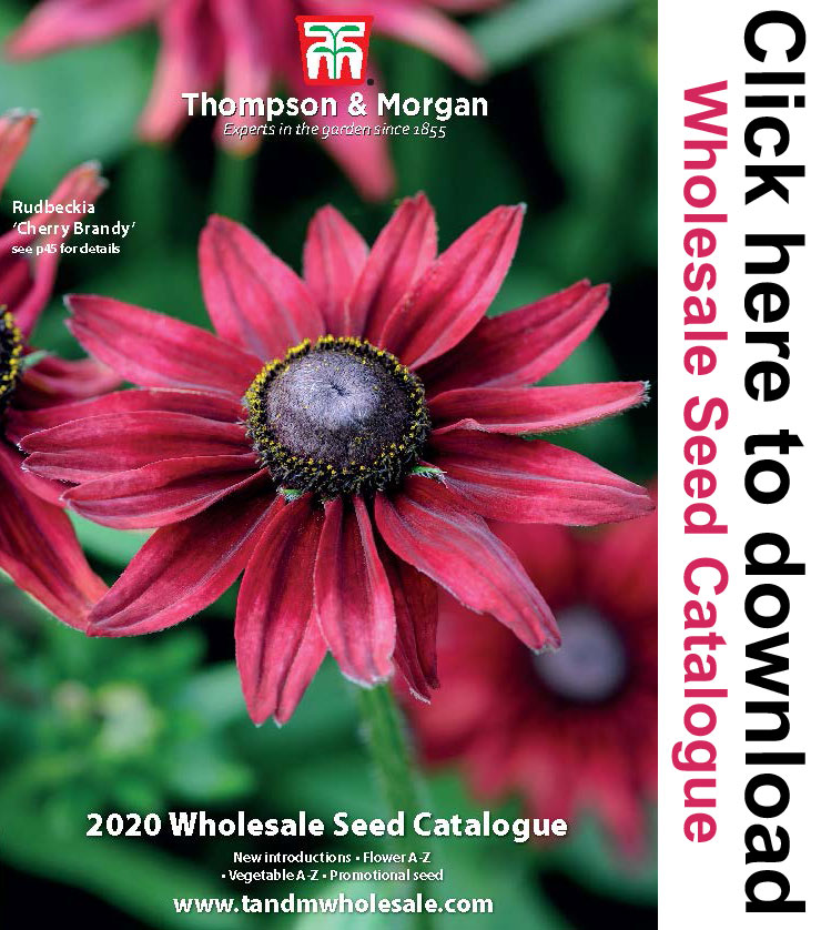 Download our latest T&M Wholesale Seed Catalogue