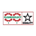 Fleuroselect Quality Award