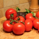 Tomato 'Alicante' 