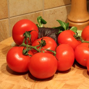 Tomato 'Alicante' 