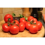 Tomato 'Alicante' 